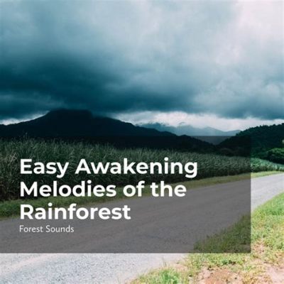  Rainforest Awakening Enchants with Serene Melodies and Euphoric Rhythms