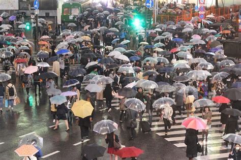 スタジオツアー東京 アクセス そして、なぜカラスは傘を差すのか？