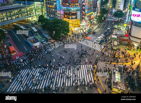 東京タワー最寄駅：都市のシンボルと日常の交差点